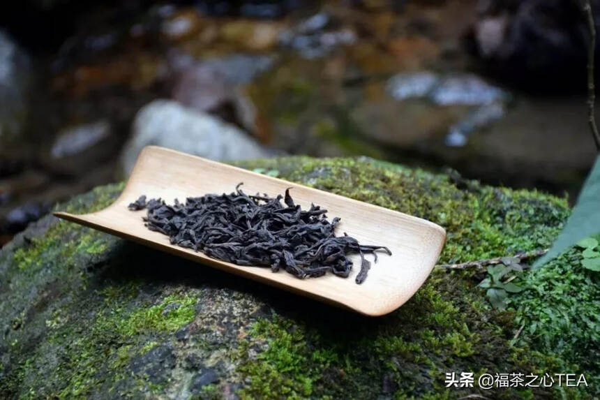 福建之茶 | 武夷岩茶不同程度的炭焙及品质呈现