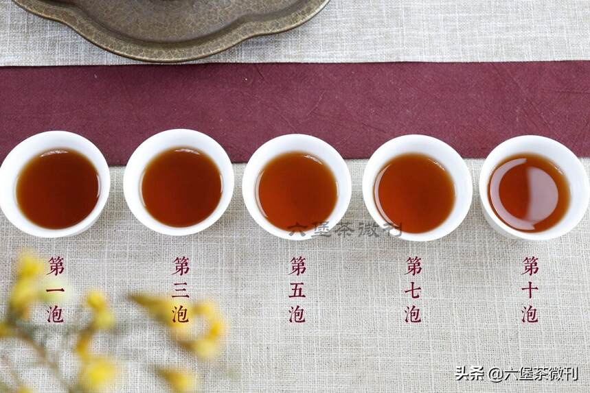 2013年传统双蒸高山六堡茶，邀您一起感受广西六堡轻发酵之美