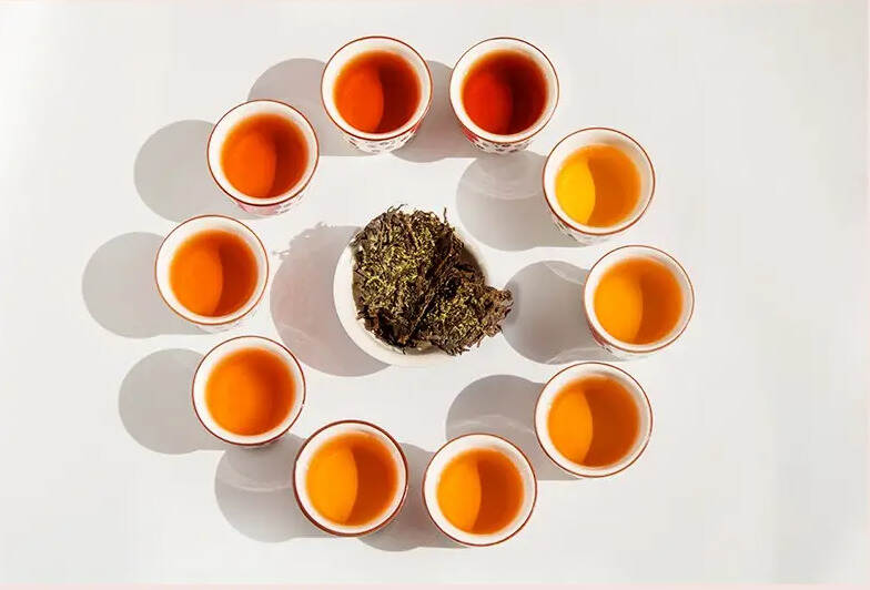 广西六堡茶与陕西茯茶有什么不同？（建议收藏）