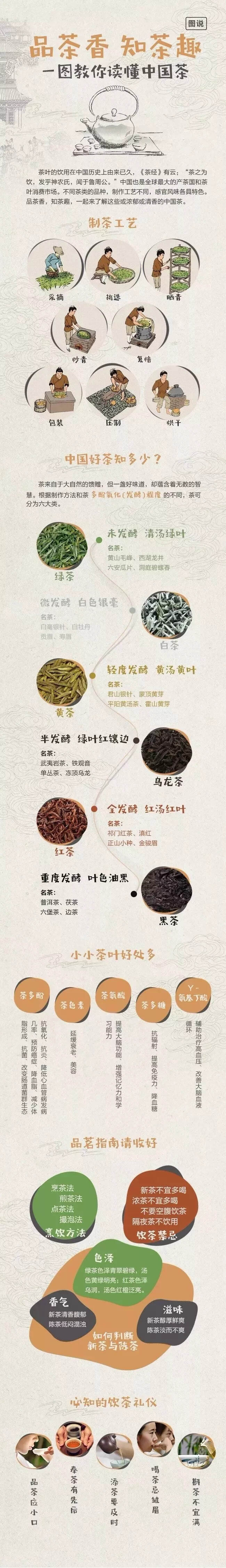 一图读懂中国茶