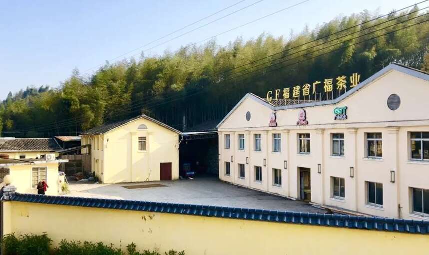 福建省龙头企业广福国营茶厂，如何成就“白茶界黄埔军校”美名！