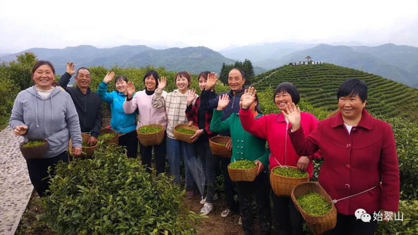 把茶叶这个产业做好！
