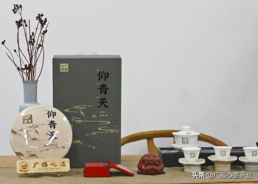 健康白茶中国行预告：哈尔滨站！8月20日，一起品茶论天下｜心动态