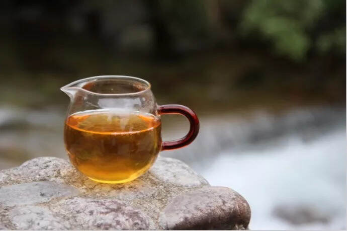 茶是庸蠹尘世里一抹清欢
