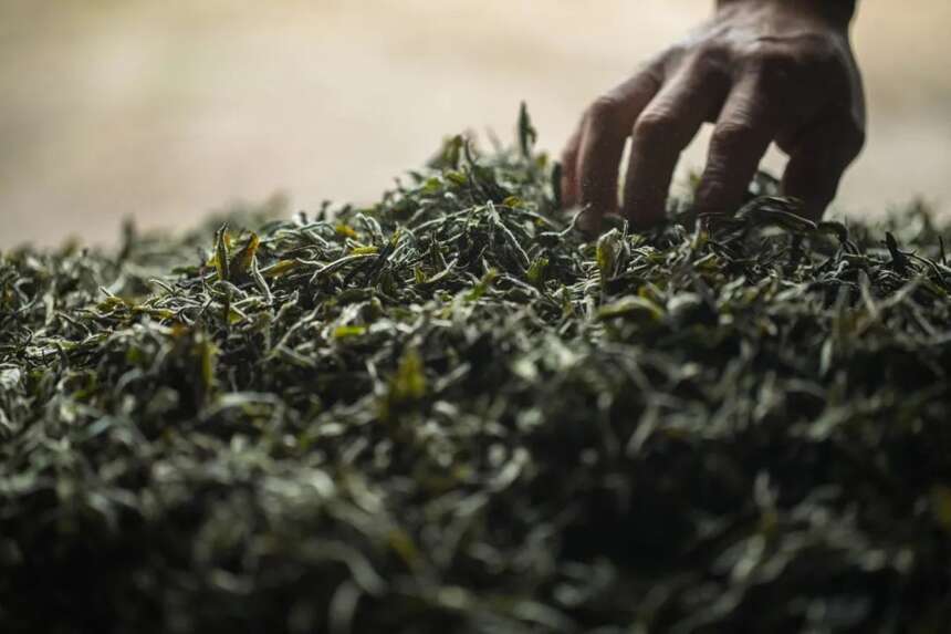 《关于促进茶产业健康发展的指导意见》对湖北影响几何？