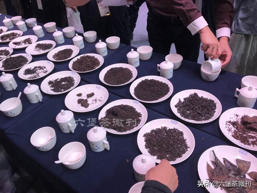 十分难得！资深茶人分享了十条收藏广西六堡茶的秘诀