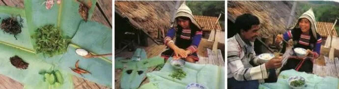 普洱茶的寨子文化，有点野