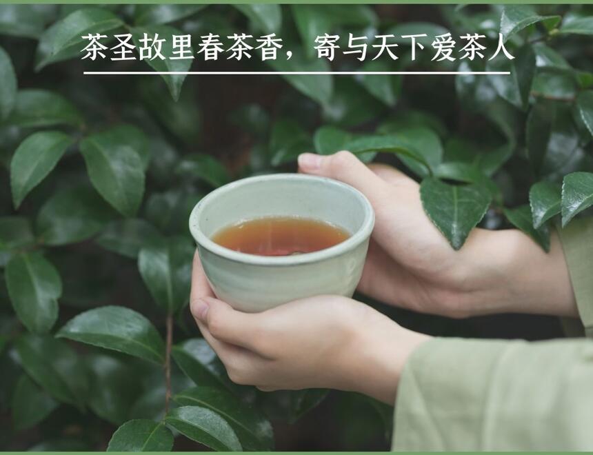 定了，首个国际茶日（湖北）活动将于5月18日至24日线上开启