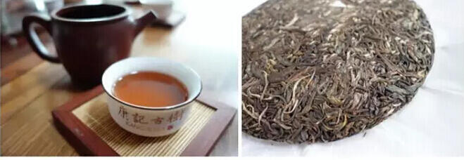 为什么广州人喜欢喝普洱茶，你知道吗？