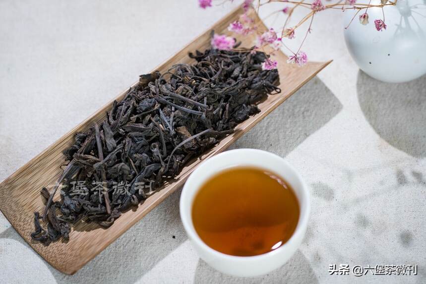 别叫“苦”了！正确看待广西六堡茶中的“苦涩”，避免错过好茶