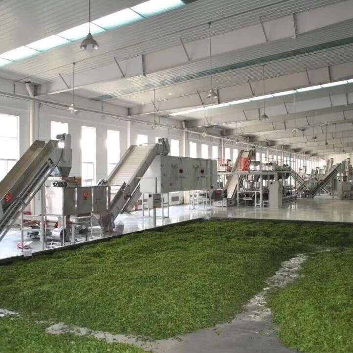 23日双城共启，拉开采花茶业2021年度全国巡展大幕