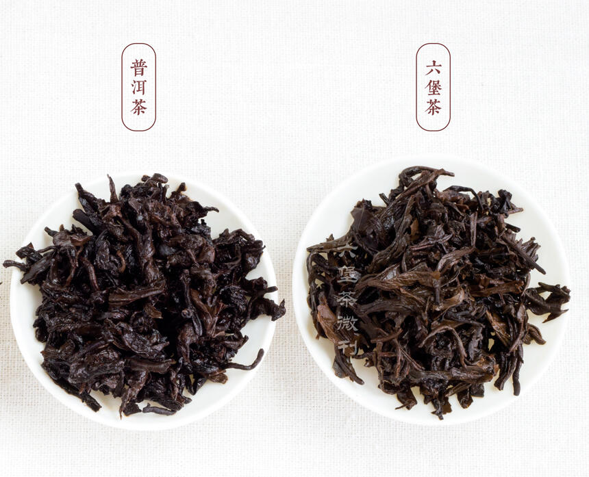广西六堡茶与云南普洱茶熟茶有什么区别？