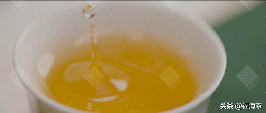 福海讲堂：备受关注的有机茶，究竟有怎样“讲究”的一生？