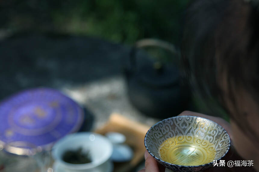 福海讲堂 | 普洱茶名寨之帕沙
