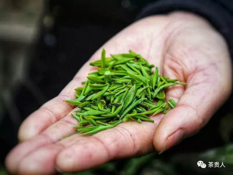 快讯！紫阳富硒茶国际商标注册成功！！