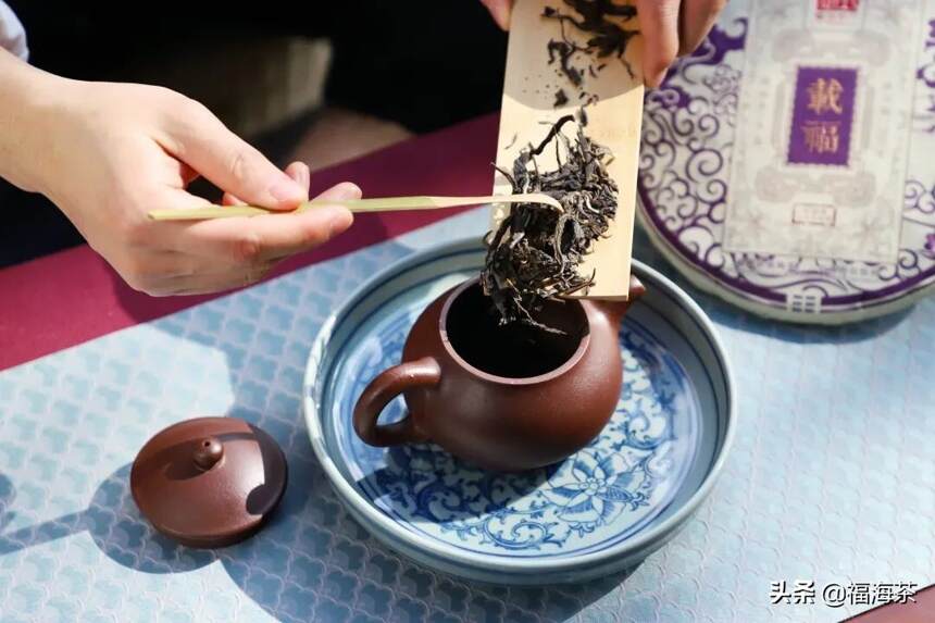 福海讲堂 | 紫砂壶为什么最适合冲泡普洱茶