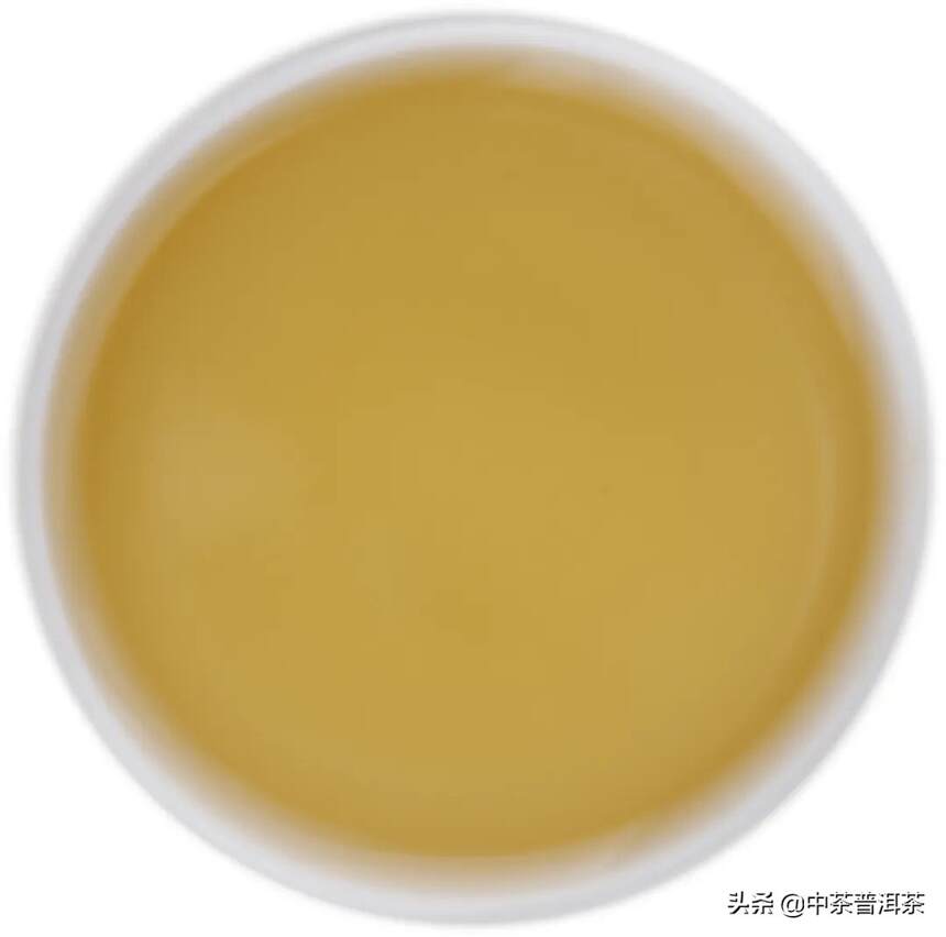 中茶新品 | 2020中茶易武：茗山真味，宜饮宜藏