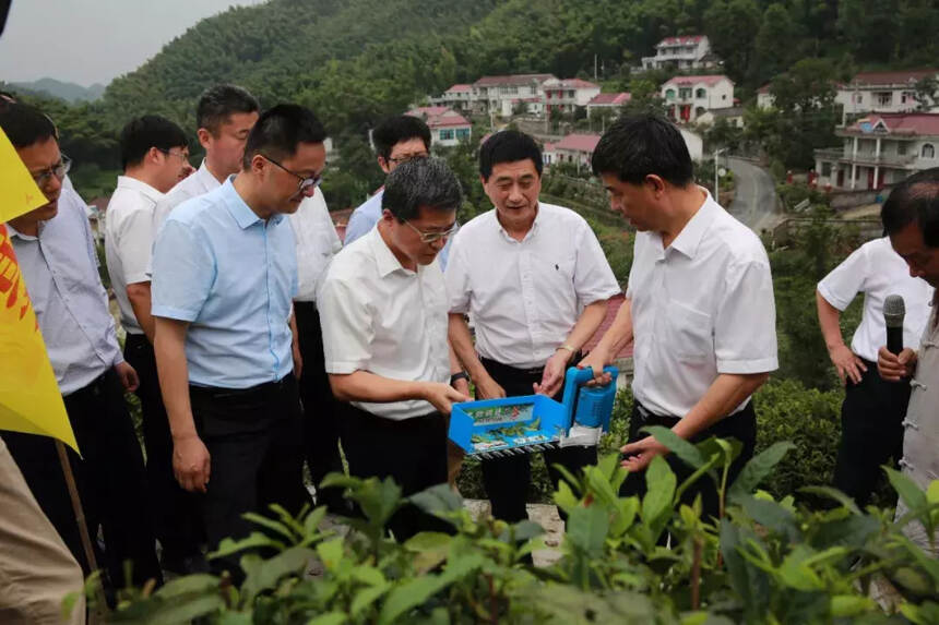 省科技厅 安农大 六安市政府合召开黄茶产业发展助推脱贫攻坚会议