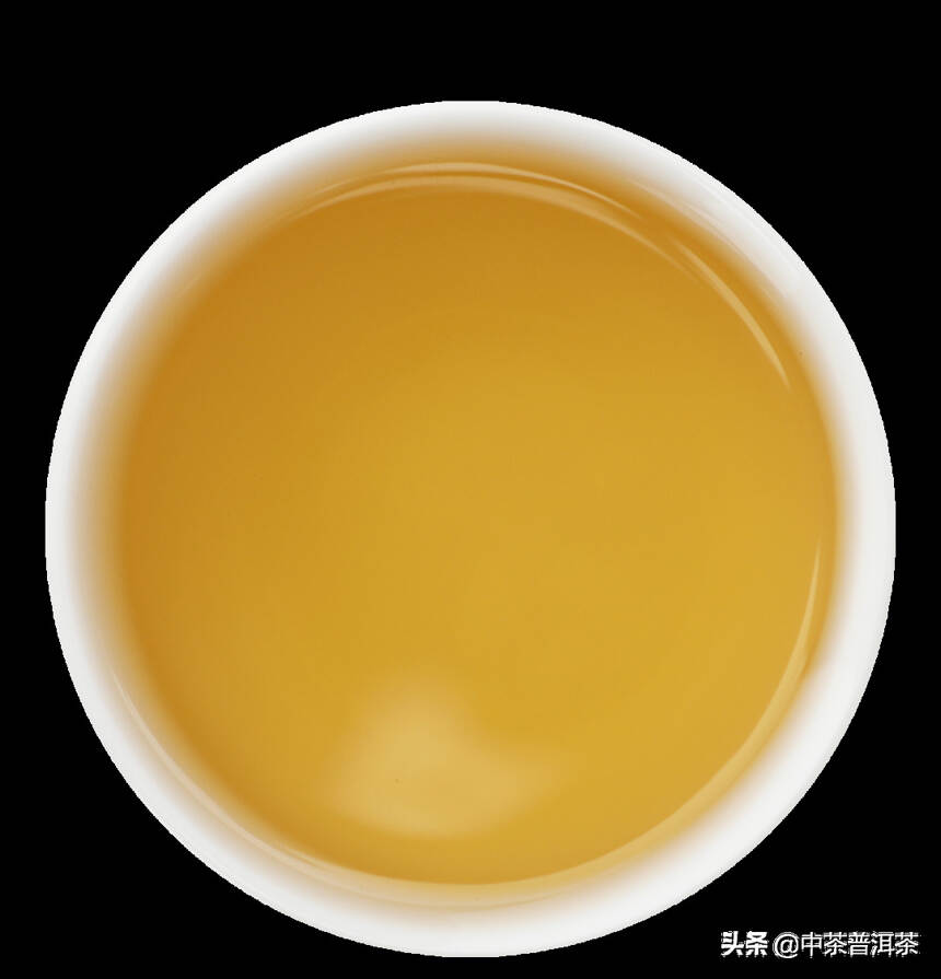 中茶新品 | 中茶茗山 古树金叶 普洱茶(生茶) 紧压茶