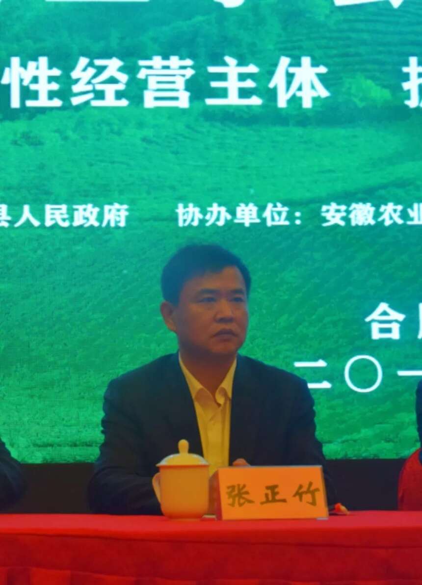 安徽省茶业学会2019年学术年会于庐江县举办