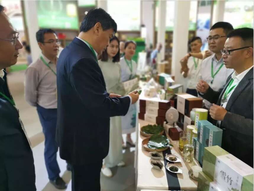 【相约茶博会】罗强市长：崇州枇杷茶是珍稀古茶，要发展好！