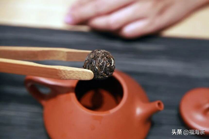 福海讲堂 | 茶与健康之科学饮茶