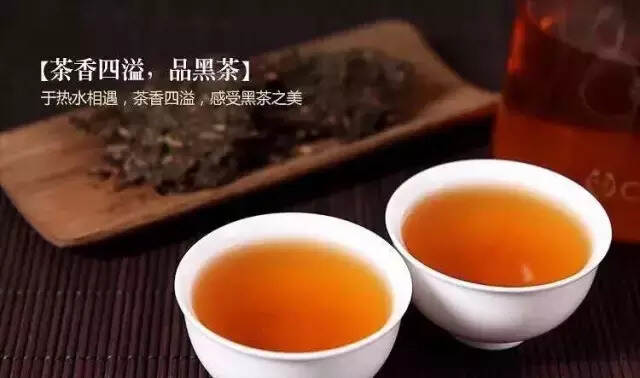 30亿东莞民间藏茶人蔡金华谈黑茶，教您如何收藏黑茶