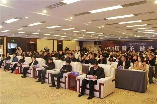 四川33县携手 成立“茶马古道”文旅发展联盟