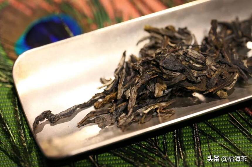 福海讲堂 | 什么样的普洱茶适合长期存放？