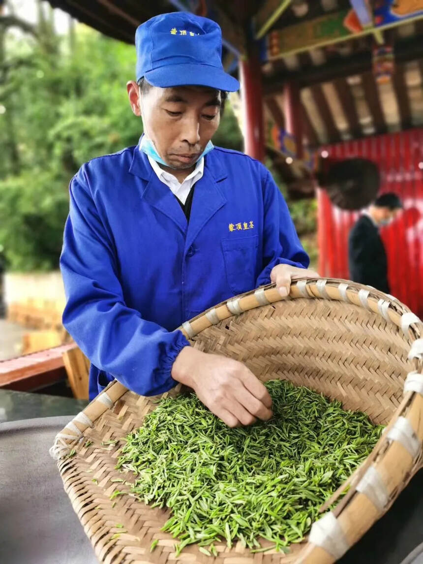 第十六届蒙顶山茶文化旅游节隆重启幕！