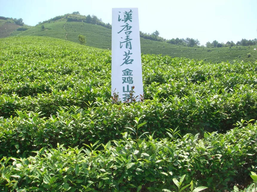 “汉唐清茗”被评为“2018中国徽茶最具影响力品牌”