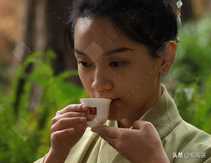 #阿福评茶# 易武深山溪谷孕育斗茶级珍品