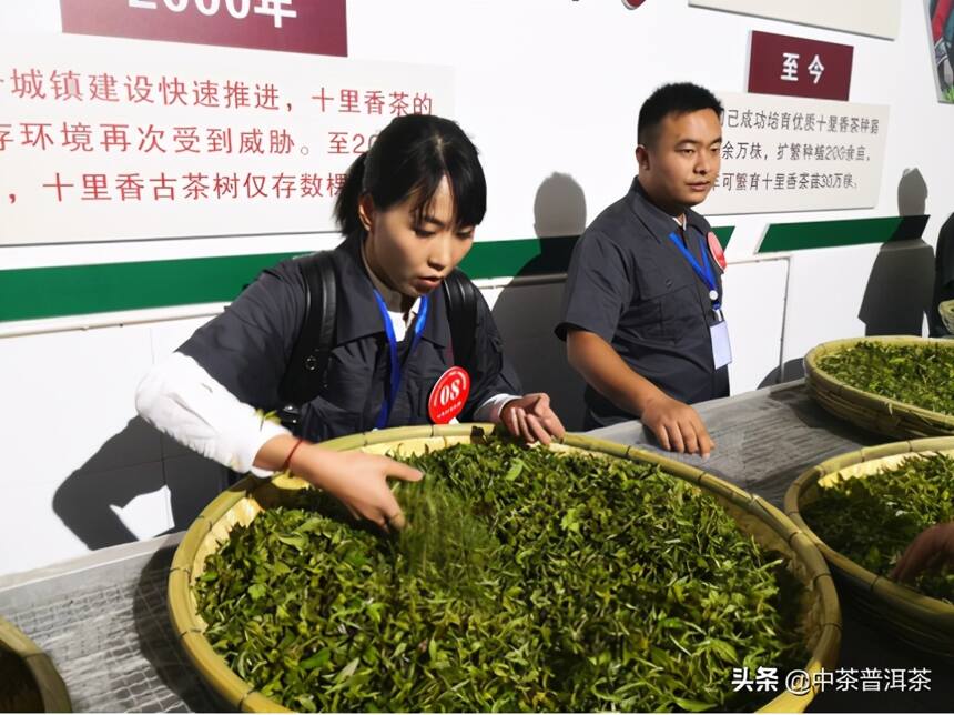 全国茶叶加工（精制）职业技能决赛中茶云南员工获“优秀选手”