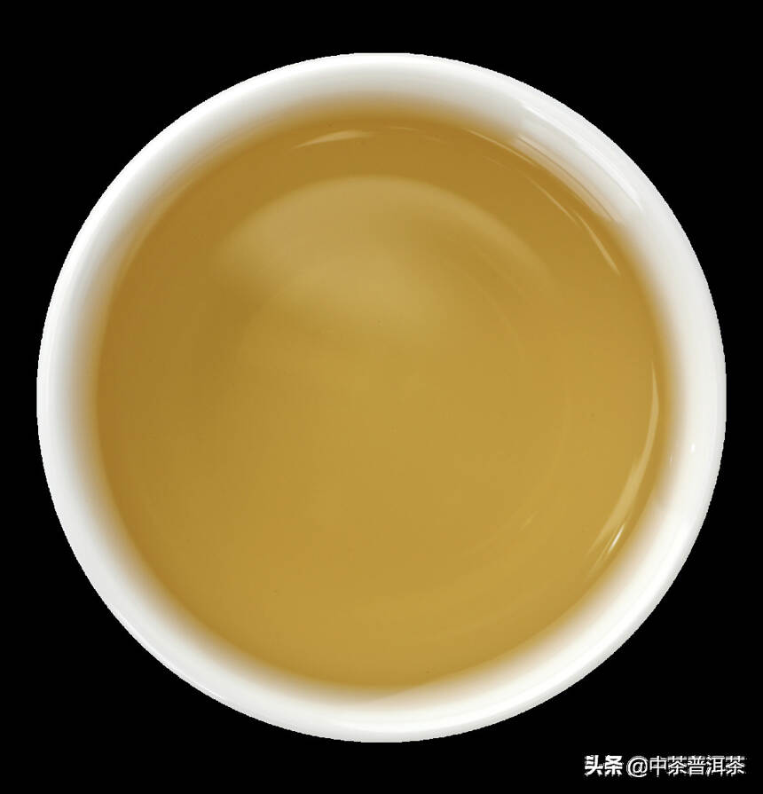 中茶新品 | 2020中茶熊猫贡沱 普洱茶(生茶) 紧压茶