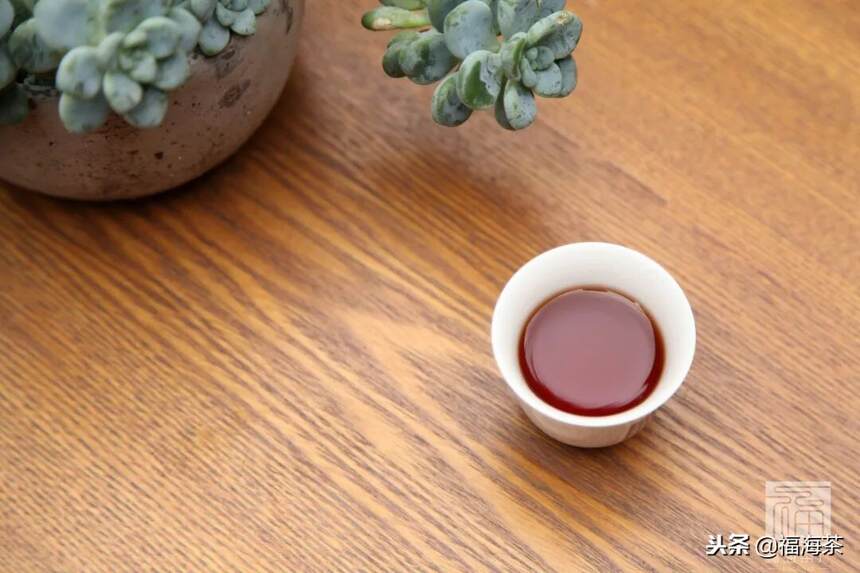 大郭说茶丨26.普洱茶的耐泡度