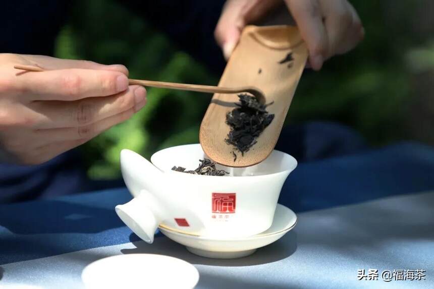 大郭说茶丨109.不同季节茶叶品质的区别