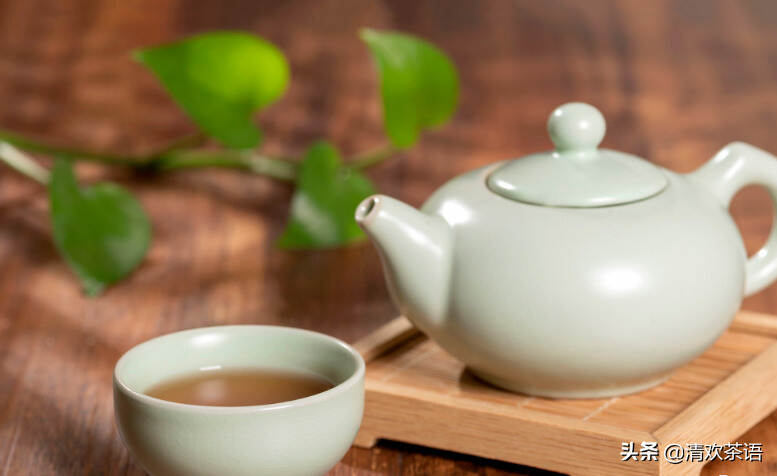 如何掌握好茶性，泡好一杯普洱茶？