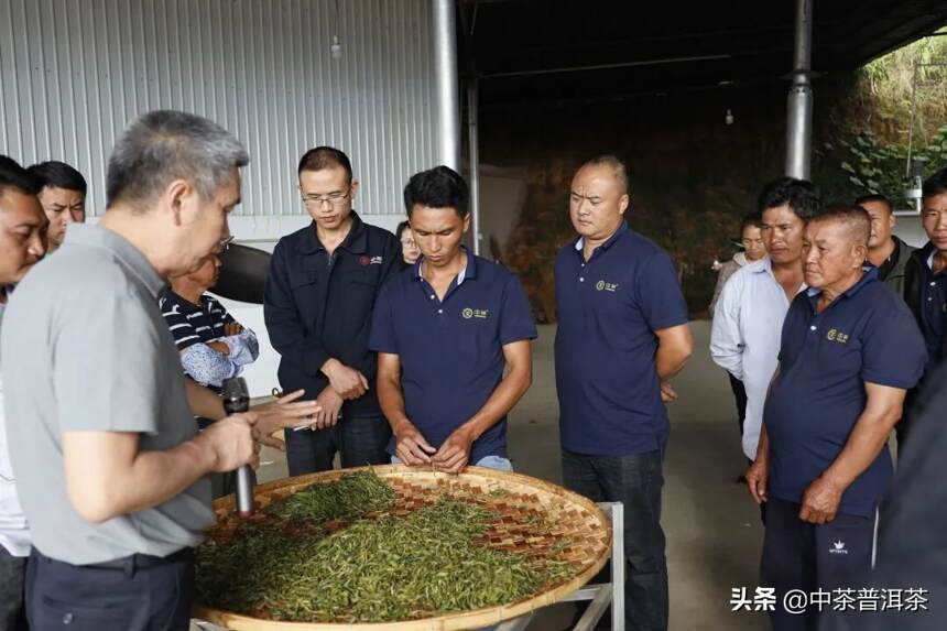 严把质量关 | 中茶云南公司在勐海举办茶园基地管理培训班