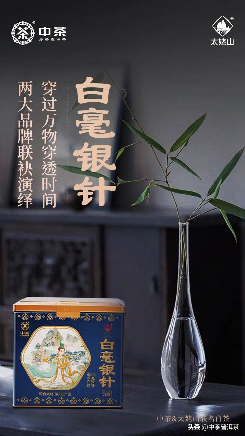 2022中茶&太姥山联名新产品—六年白毫银针