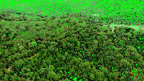 福海讲堂 | 去年他们挖走了十几万株茶树