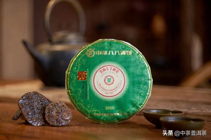中茶八八青饼荣膺2020年中国茶叶集群品牌联盟普洱茶超级单品
