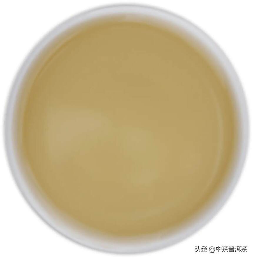 中茶新品 | 2020中茶易武：茗山真味，宜饮宜藏