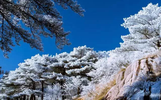 雪后的黄山，犹如仙境，美轮美奂！