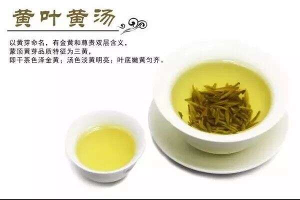 蒋昭义（春江）：漫谈雅安黄茶的“黄”