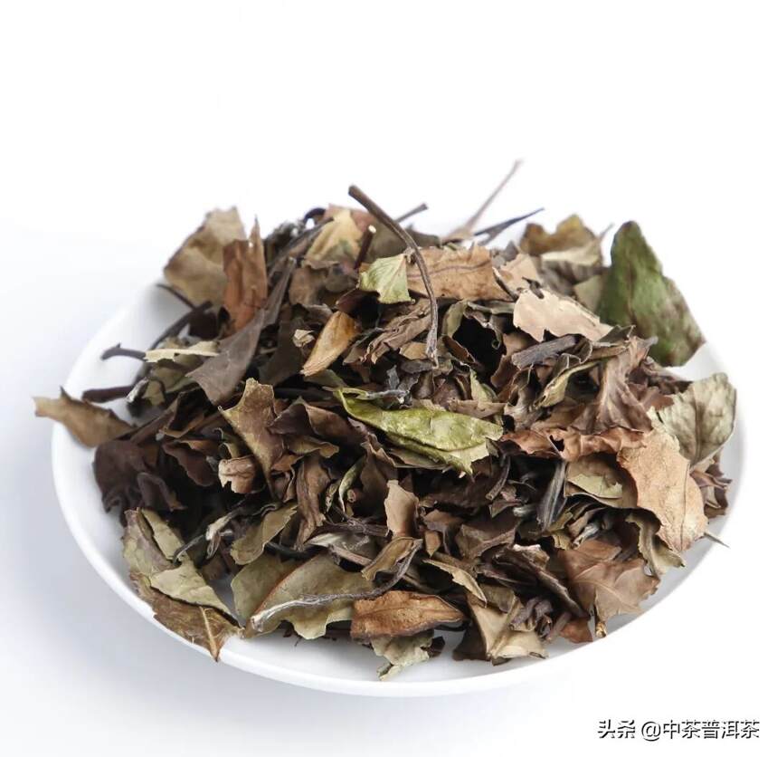 2021年中茶&太姥山首款联合产品—经典白茶，越陈越香