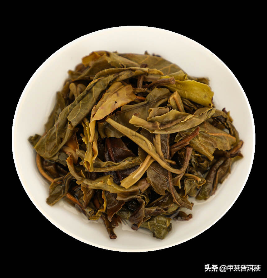 中茶新品 | 中茶茗山 古树金叶 普洱茶(生茶) 紧压茶