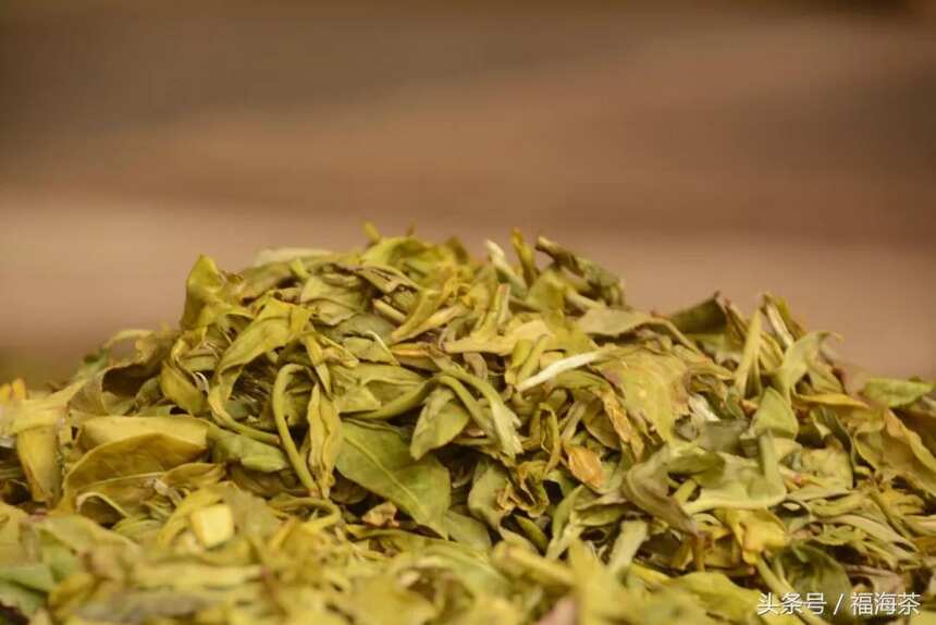 大郭说茶丨14.工艺对普洱茶品质的影响