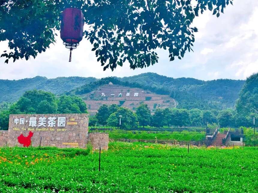 祝贺舒城县荣获“茶乡旅游精品线路深度合作地区”称号