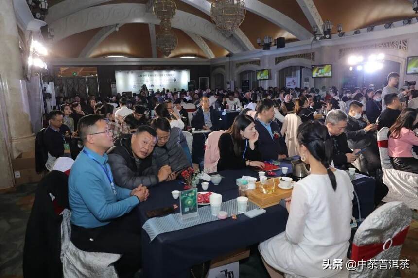 一世青缘 | 2021中茶八八青饼首发品鉴会（郑州站）成功举办