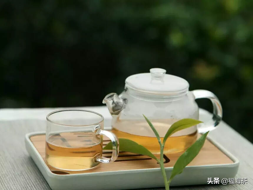 大郭说茶丨41.普洱茶的树龄和口感